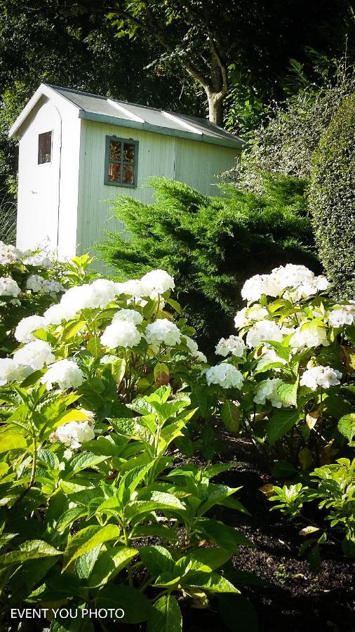 Les Hauts De La Cluse Wimille ภายนอก รูปภาพ