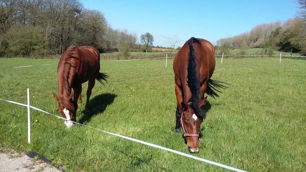 Les Hauts De La Cluse Wimille ภายนอก รูปภาพ